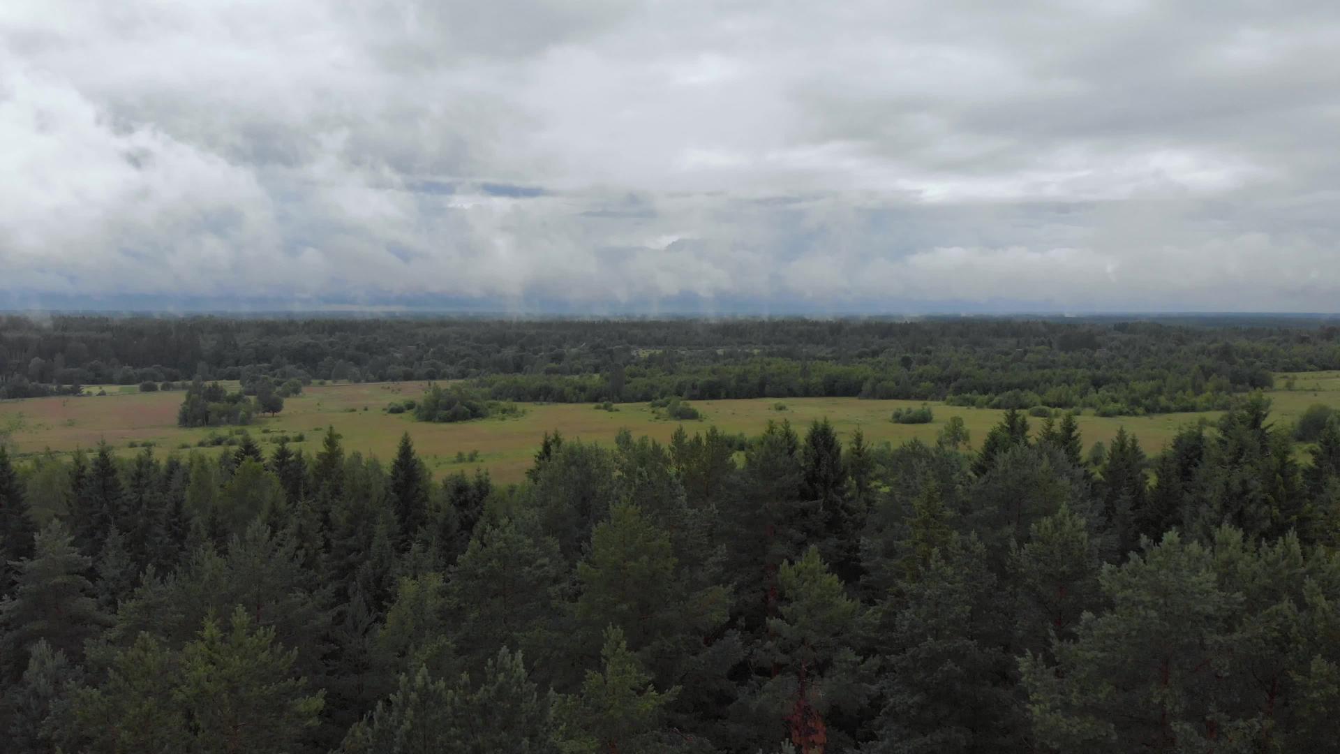 低云层空空地逃到了草原上的森林边缘视频的预览图