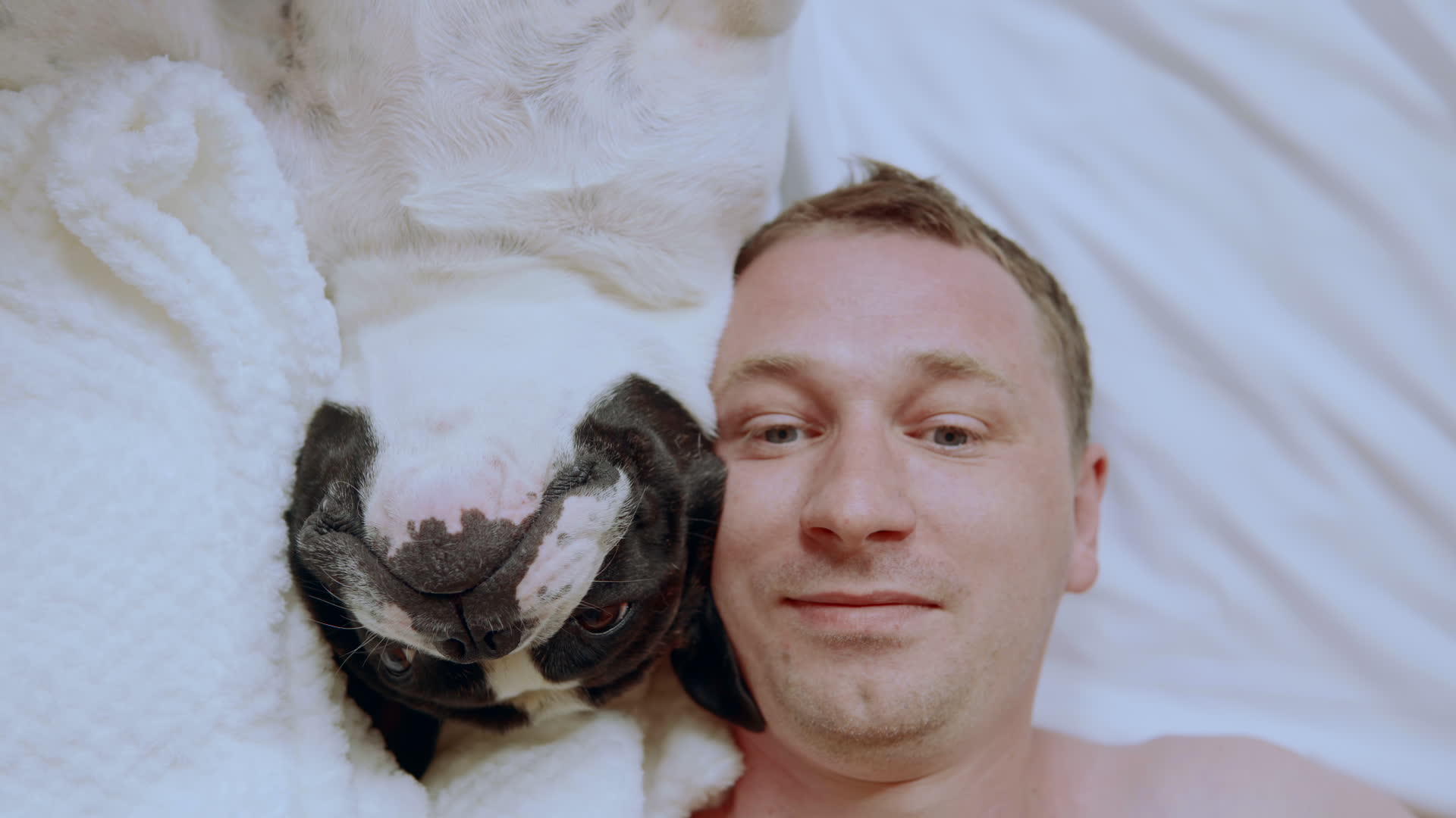 在床上面对男人和狗视频的预览图