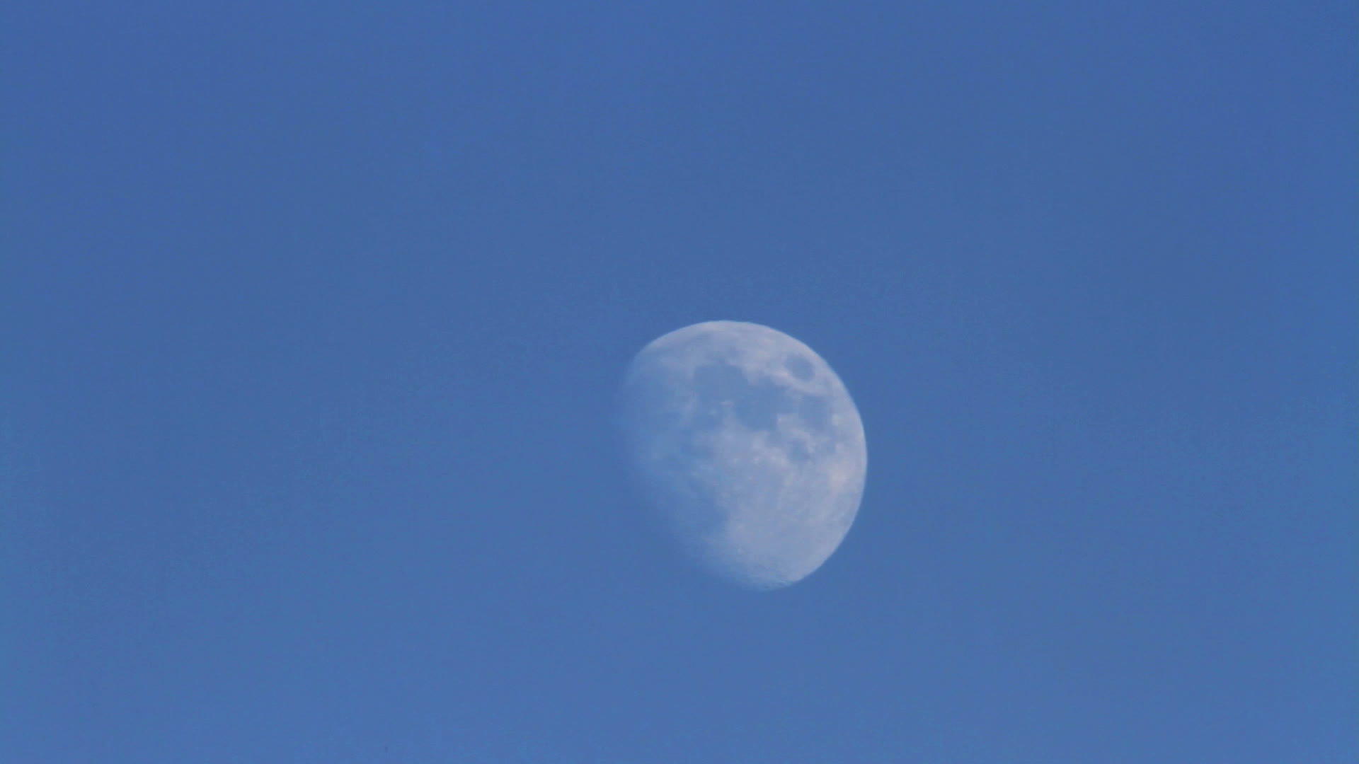 白昼的月亮视频的预览图