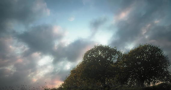 美丽的夜景和树云和月亮在移动自然背景概念视频的预览图