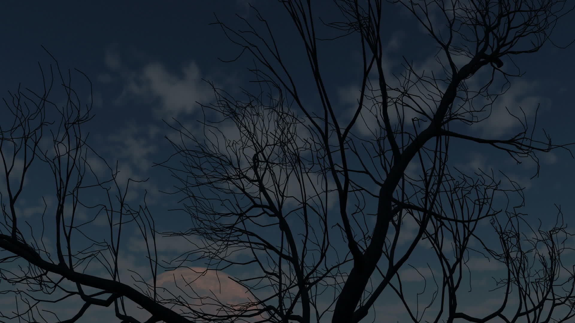 满月和干枣树在黑夜中视频的预览图