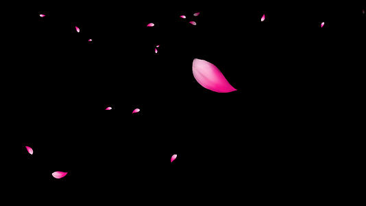 4K透明通道桃花瓣飘落视频素材视频的预览图