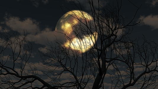 月亮从云中升起4棵树从云中升起k视频的预览图