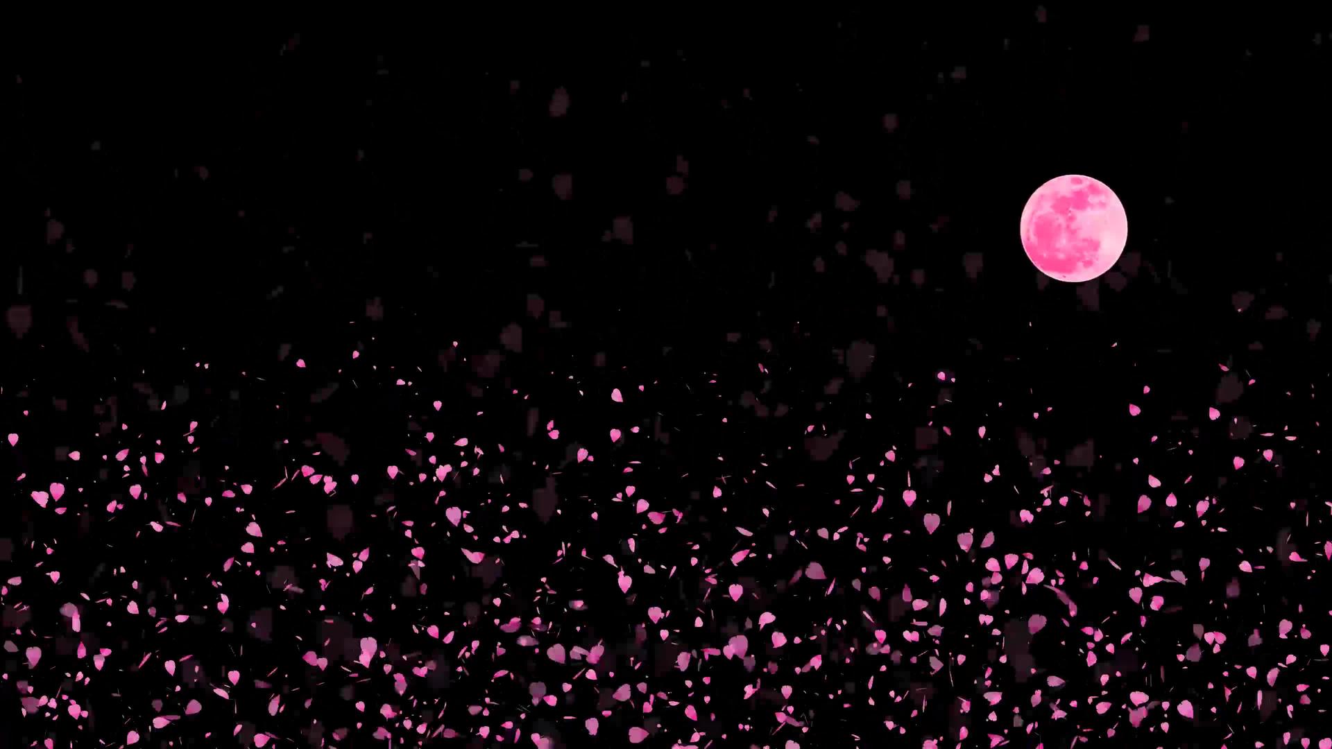数以百万计的粉色沙子落在地板上慢慢地移动满月11视频的预览图