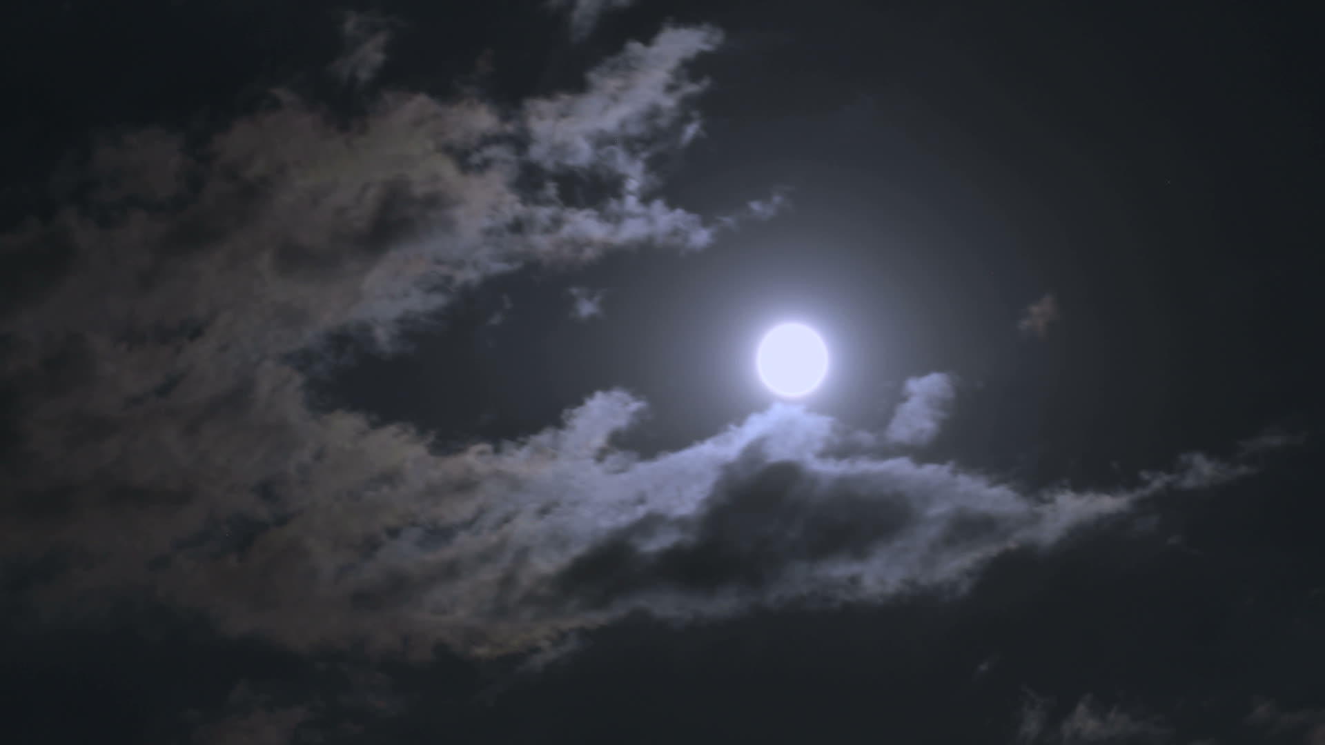 夜月视频的预览图