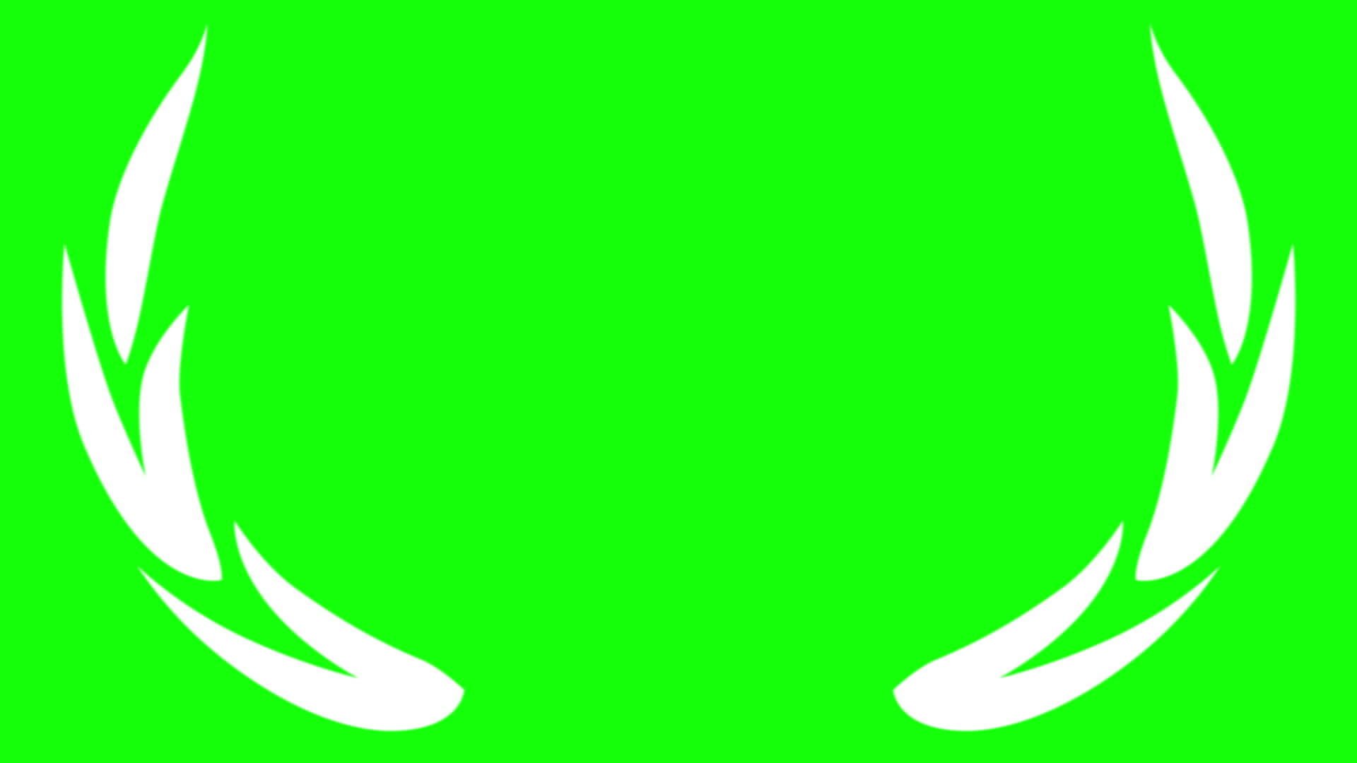 月桂叶抽象笔画绿幕视频的预览图