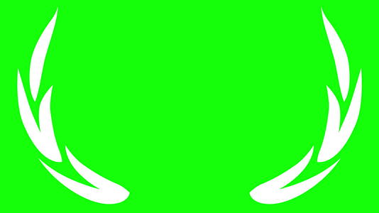 月桂叶抽象笔画绿幕视频的预览图