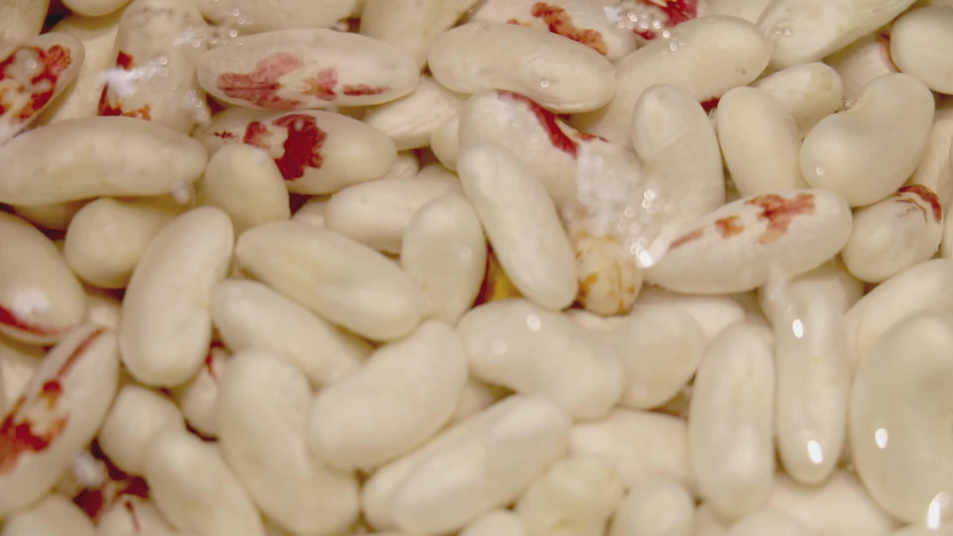 从煮豆的过程来看视频的预览图