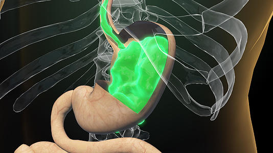 3D人体胃酸反流视频的预览图