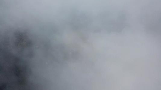 种植场上雾云的景色视频的预览图