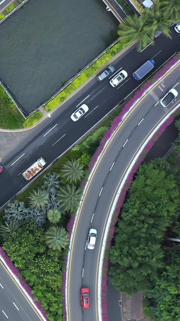 海口市城市交通立交流垂直航拍视频素材视频的预览图