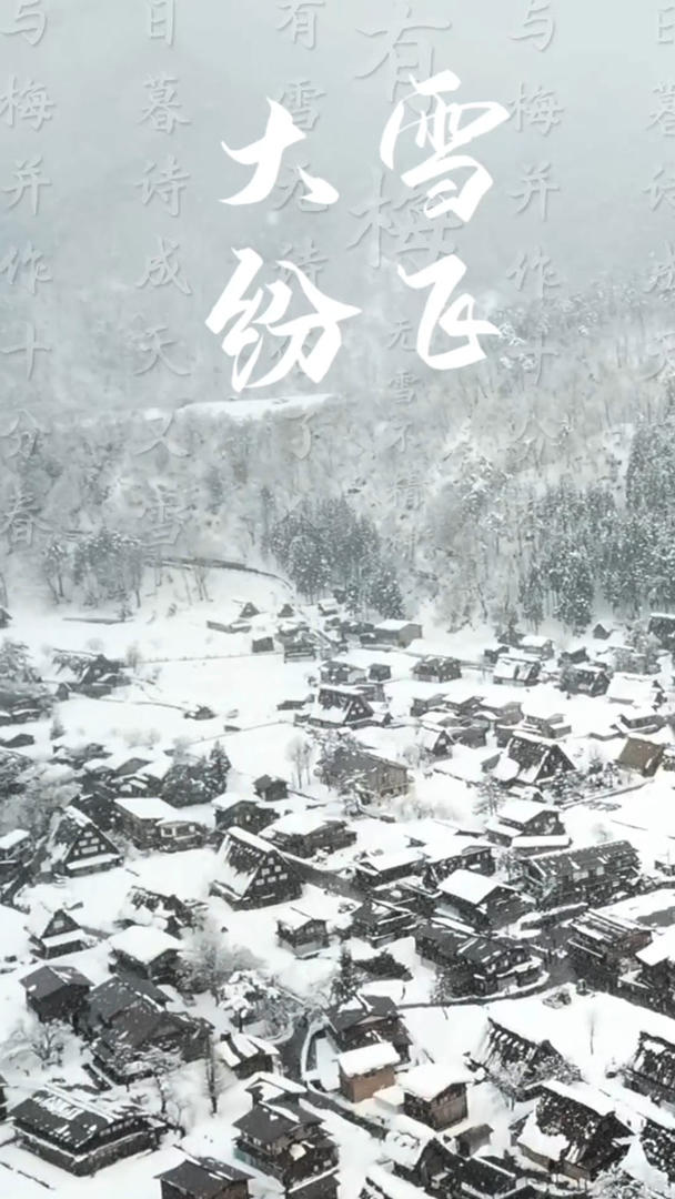 简洁唯美立冬节日节气宣传展示视频的预览图