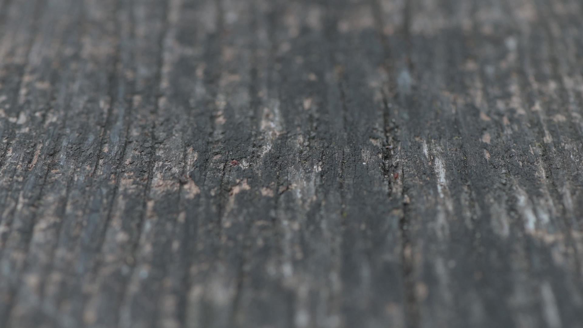 旧的灰色风化木板圆形木板浅聚焦射击视频的预览图