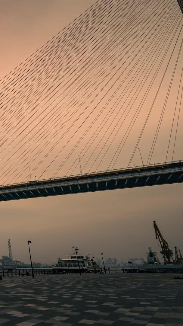 大范围延迟上海杨浦大桥视频的预览图
