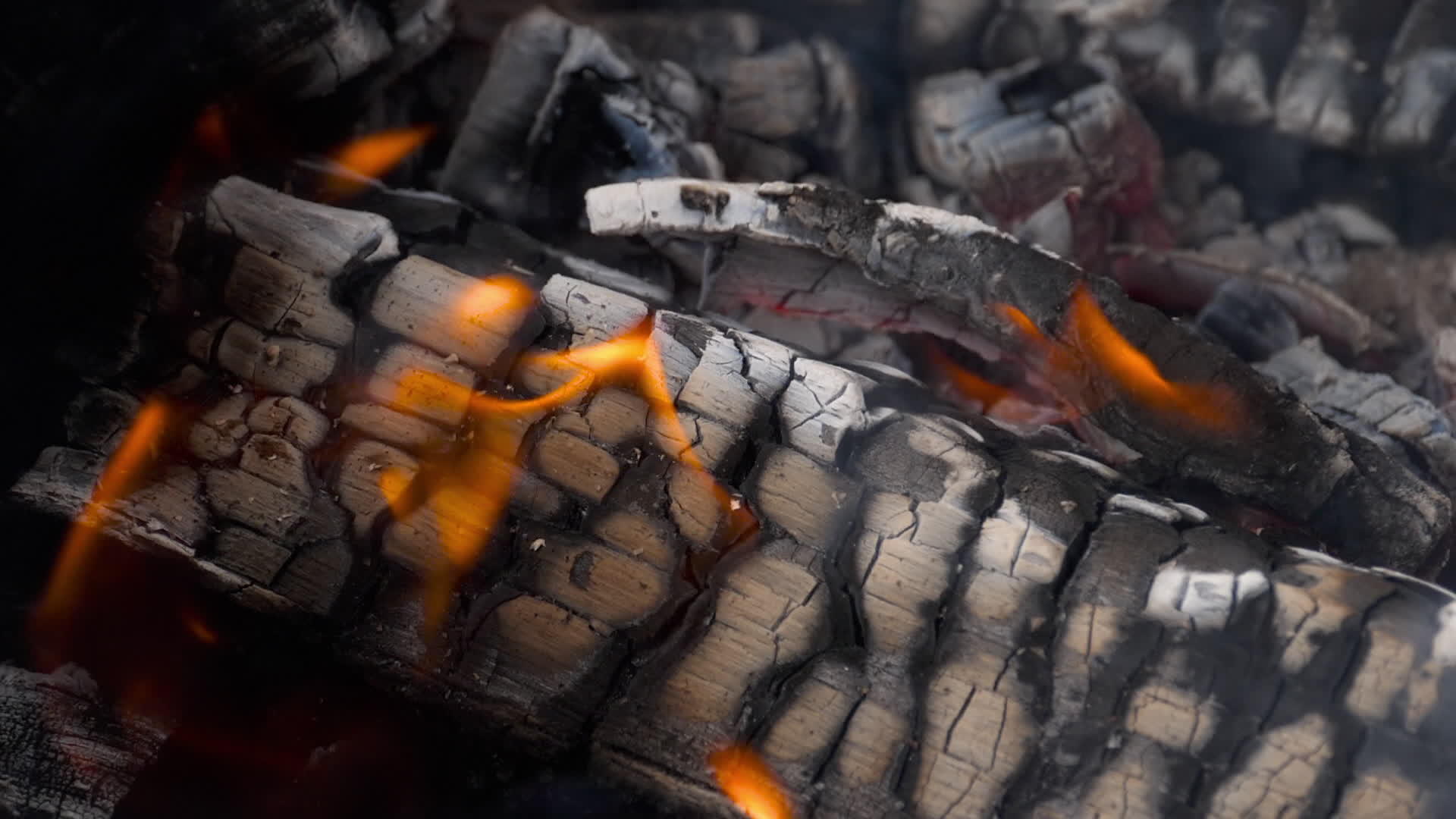 燃烧木炭和火焰的慢速运动视频的预览图