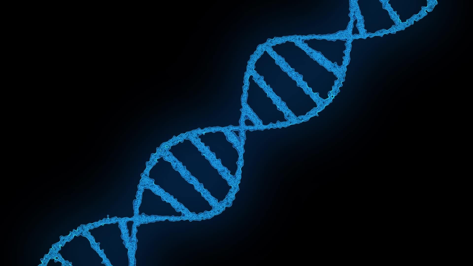 DNA构建动画扫描科学动画基因组视频的预览图
