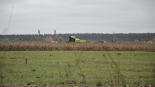 秋天拖拉机在田里收割玉米视频的预览图