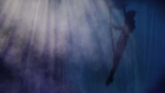马戏团的空中影子表演视频的预览图
