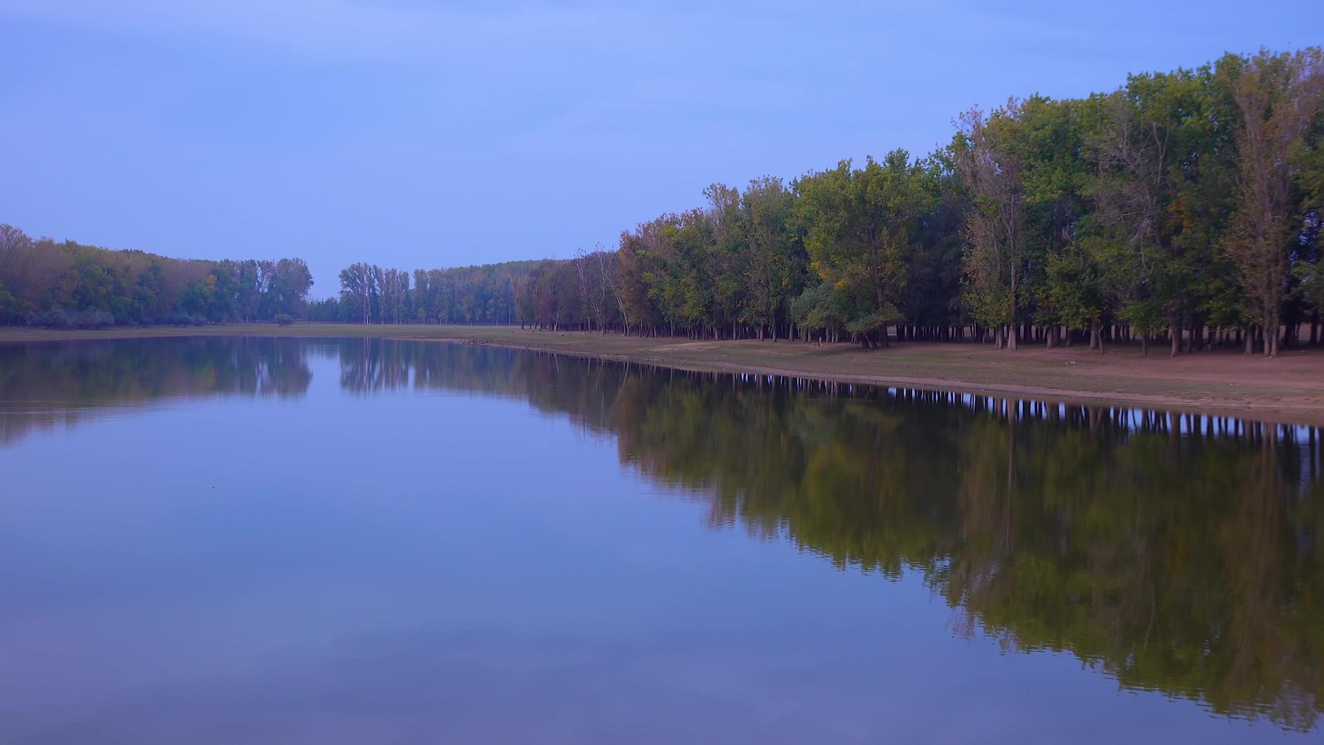 树反射在一个小湖的水中视频的预览图