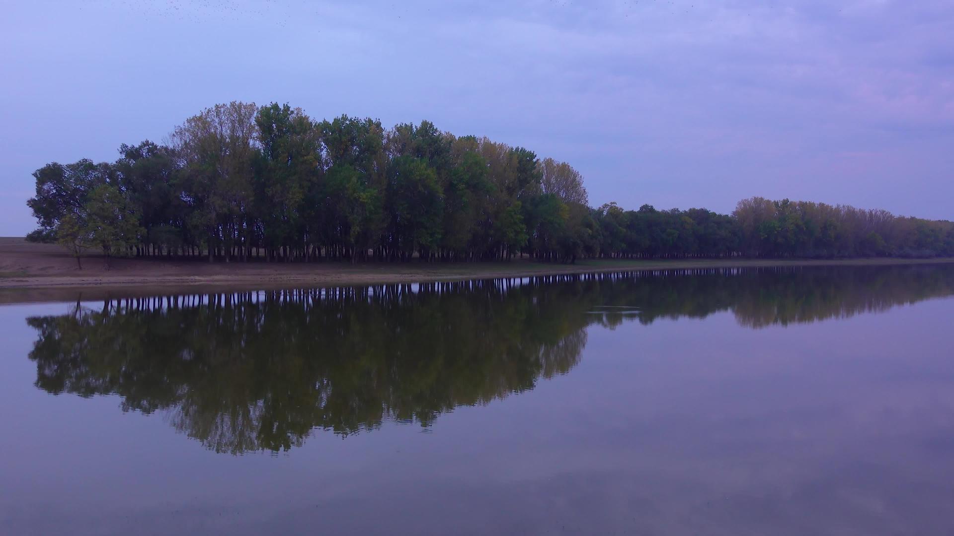 树反射在一个小湖的水中视频的预览图