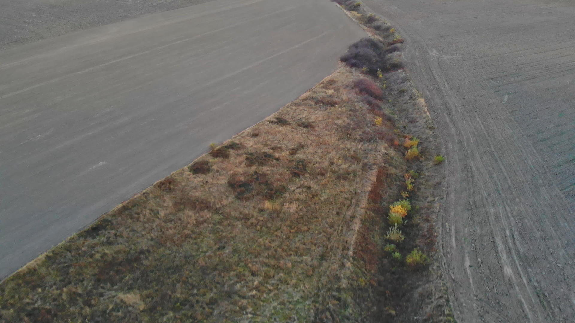 观察无人驾驶飞机的农业收割田里有绿草视频的预览图