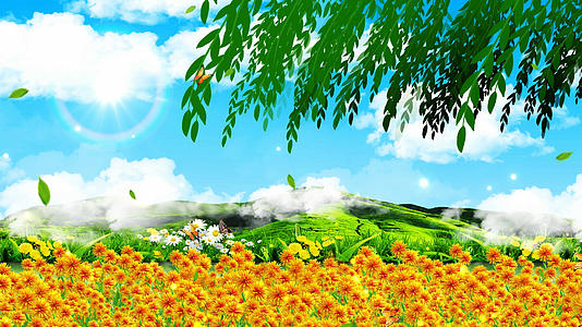 4K春天野花背景素材视频的预览图