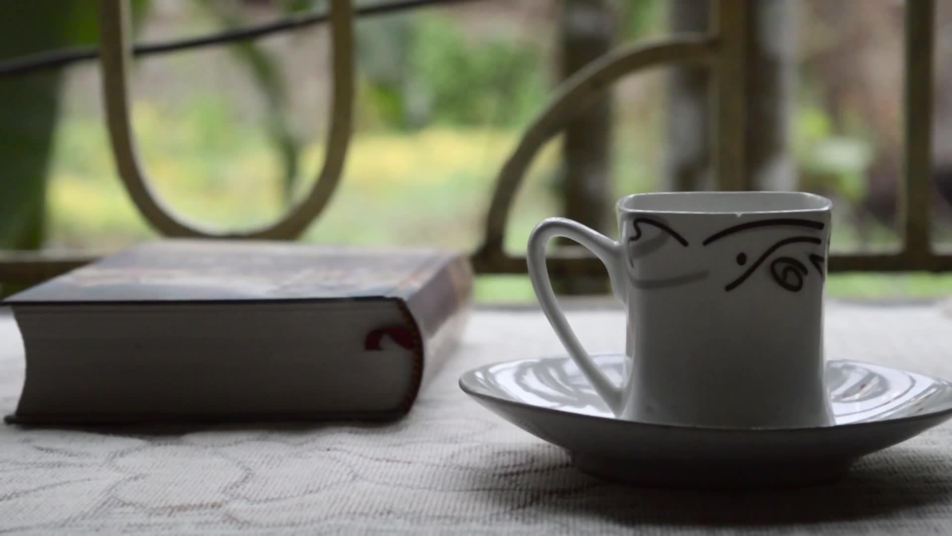 一杯咖啡和一本关于早窗阳光的书是社会疏离的时候视频的预览图