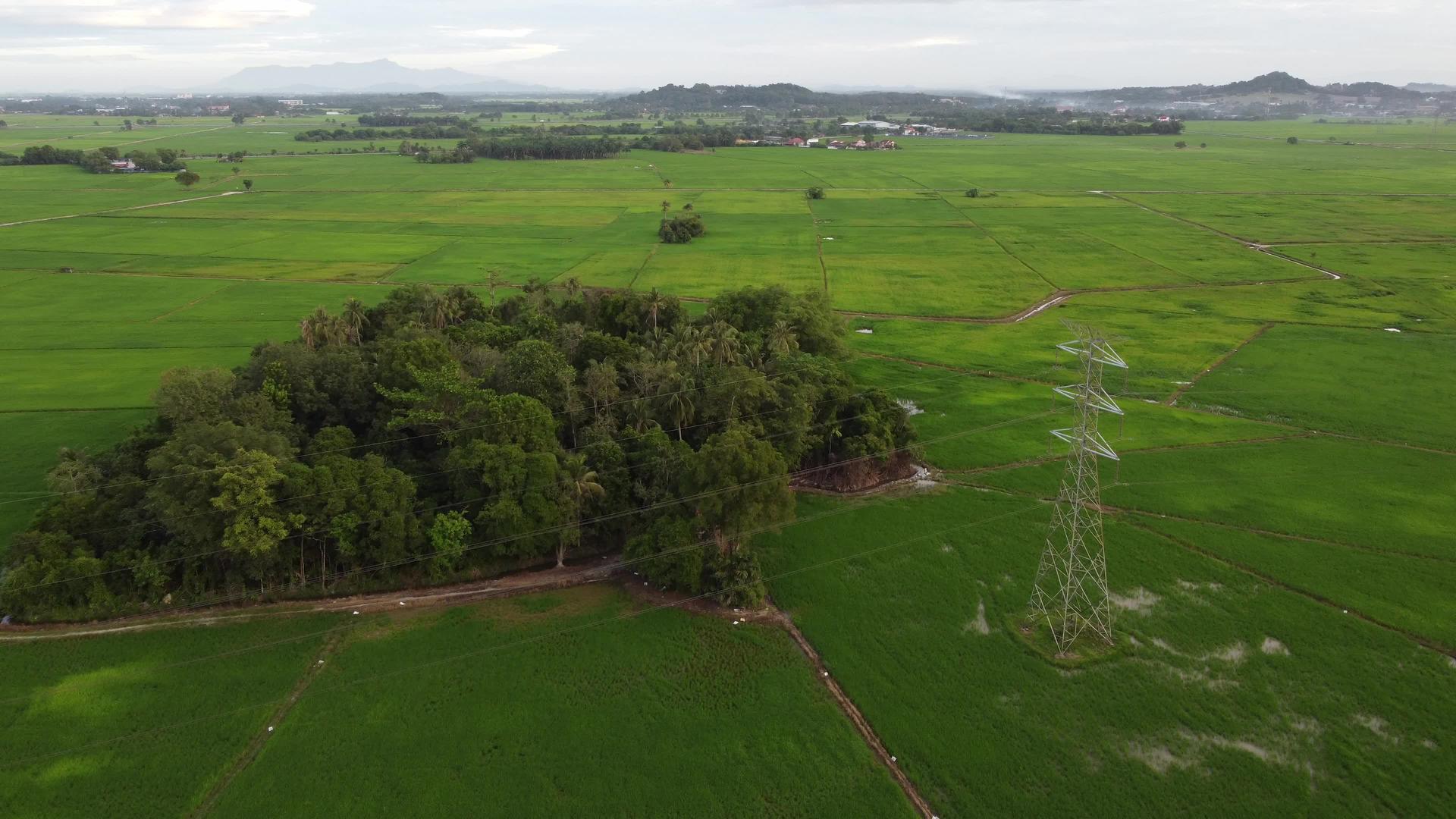 飞越电信塔和绿色灌丛视频的预览图