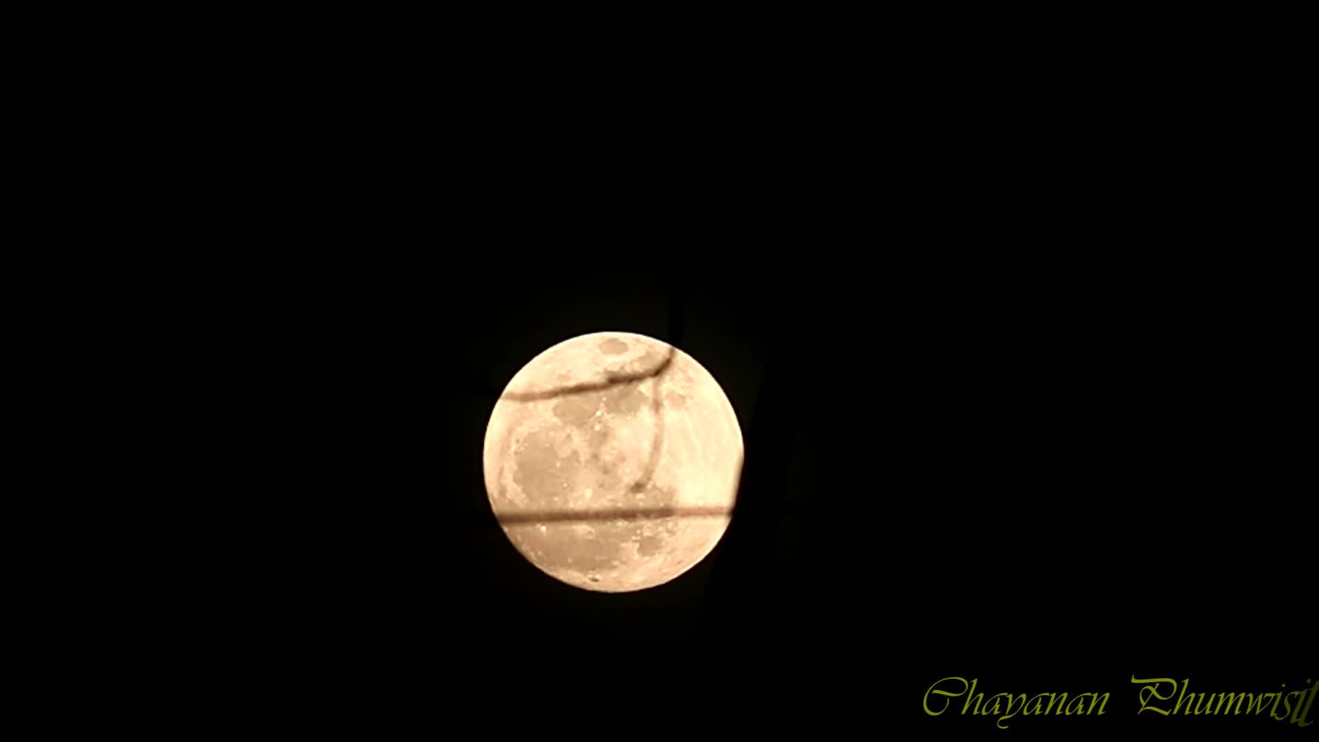 满月在夜空中落在树上视频的预览图