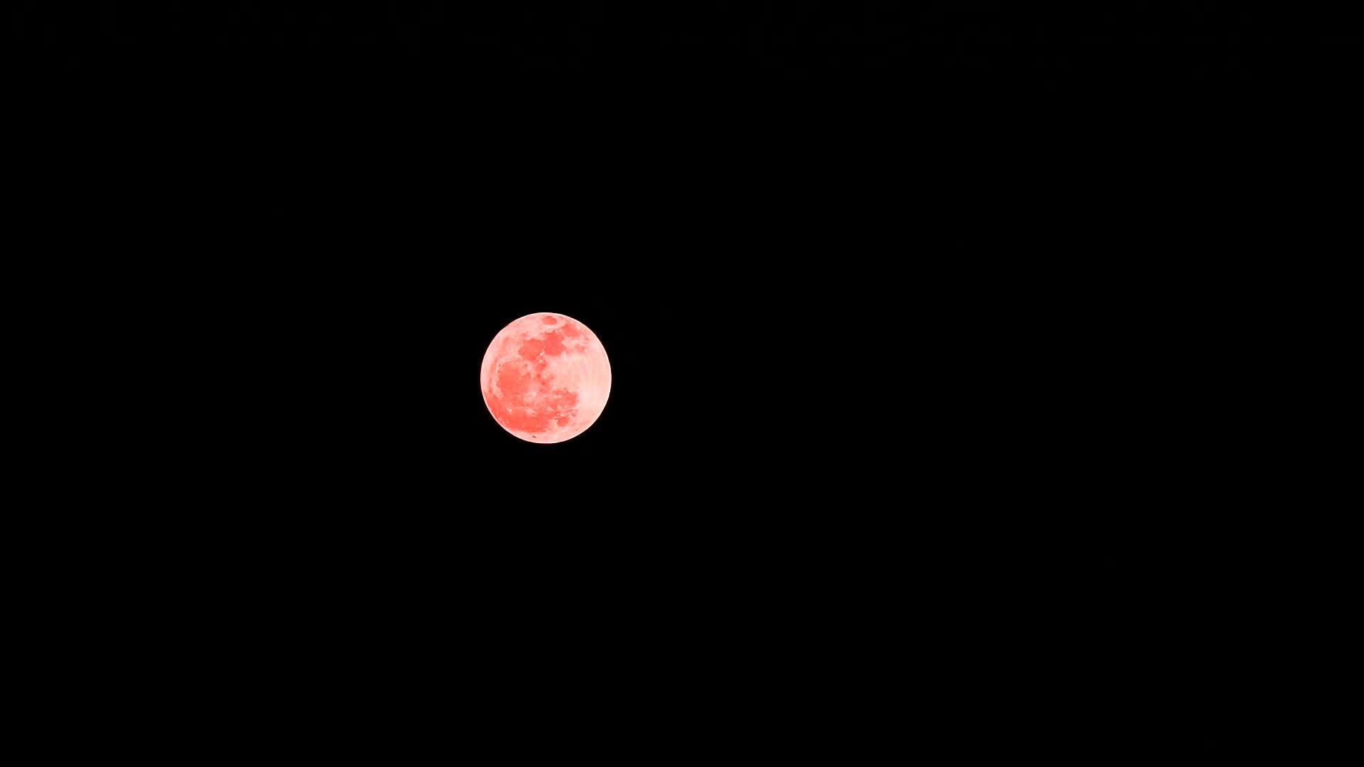 橙色的橡木月亮在明亮的夜空中云层时间流逝视频的预览图