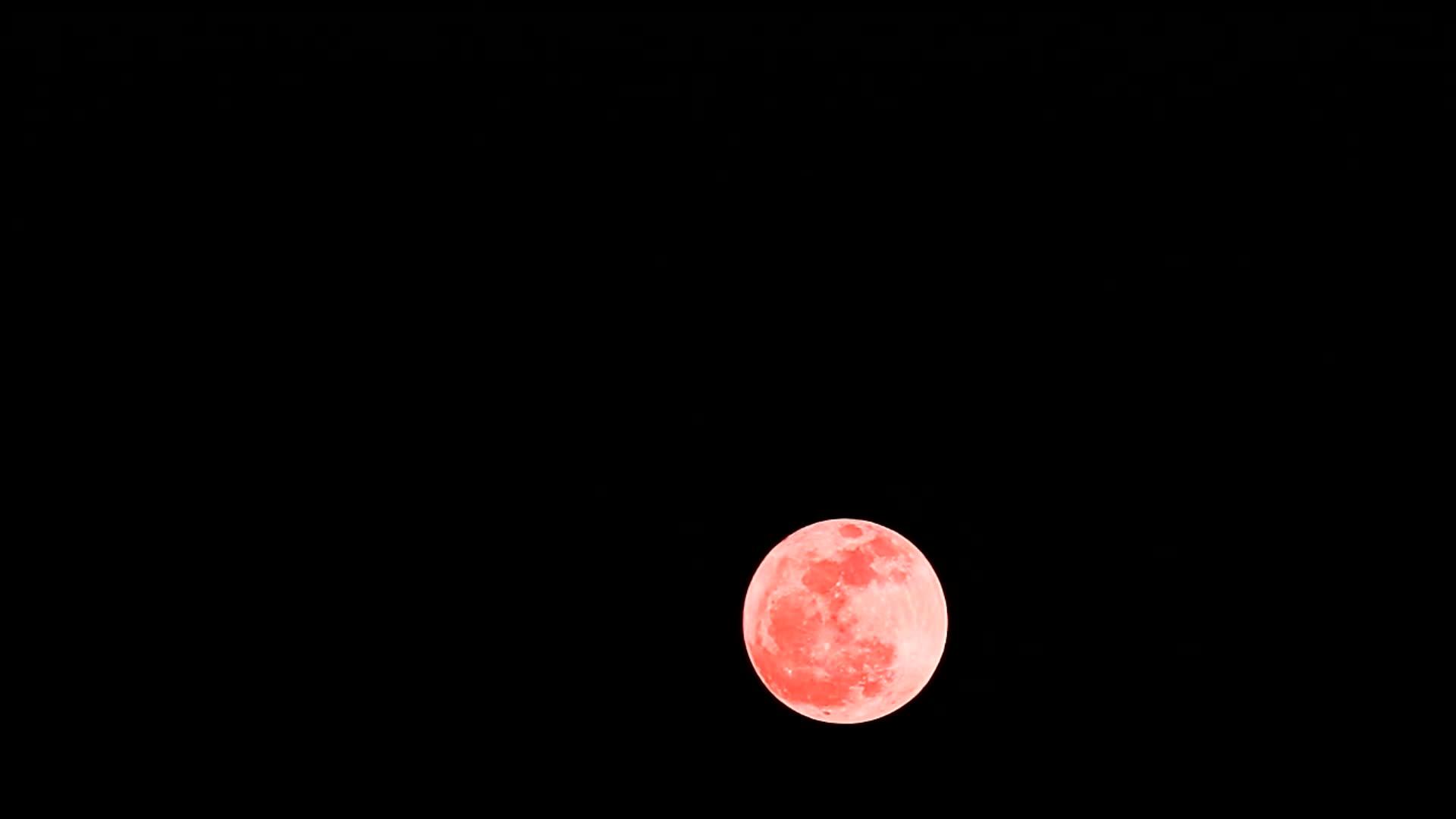 夜空时间飞逝橙色橡树月亮2视频的预览图