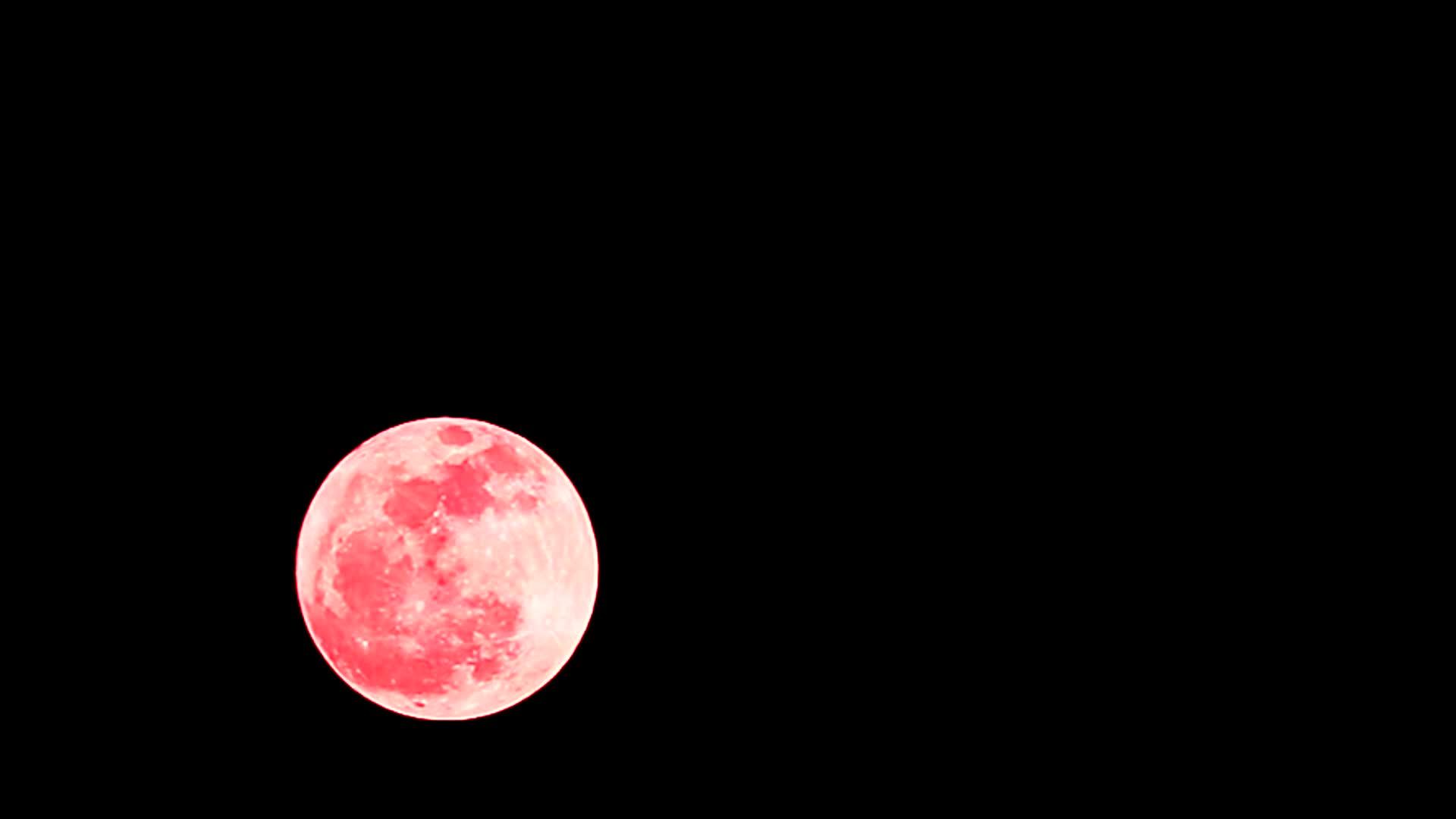 超级红橡树月亮在夜空中视频的预览图