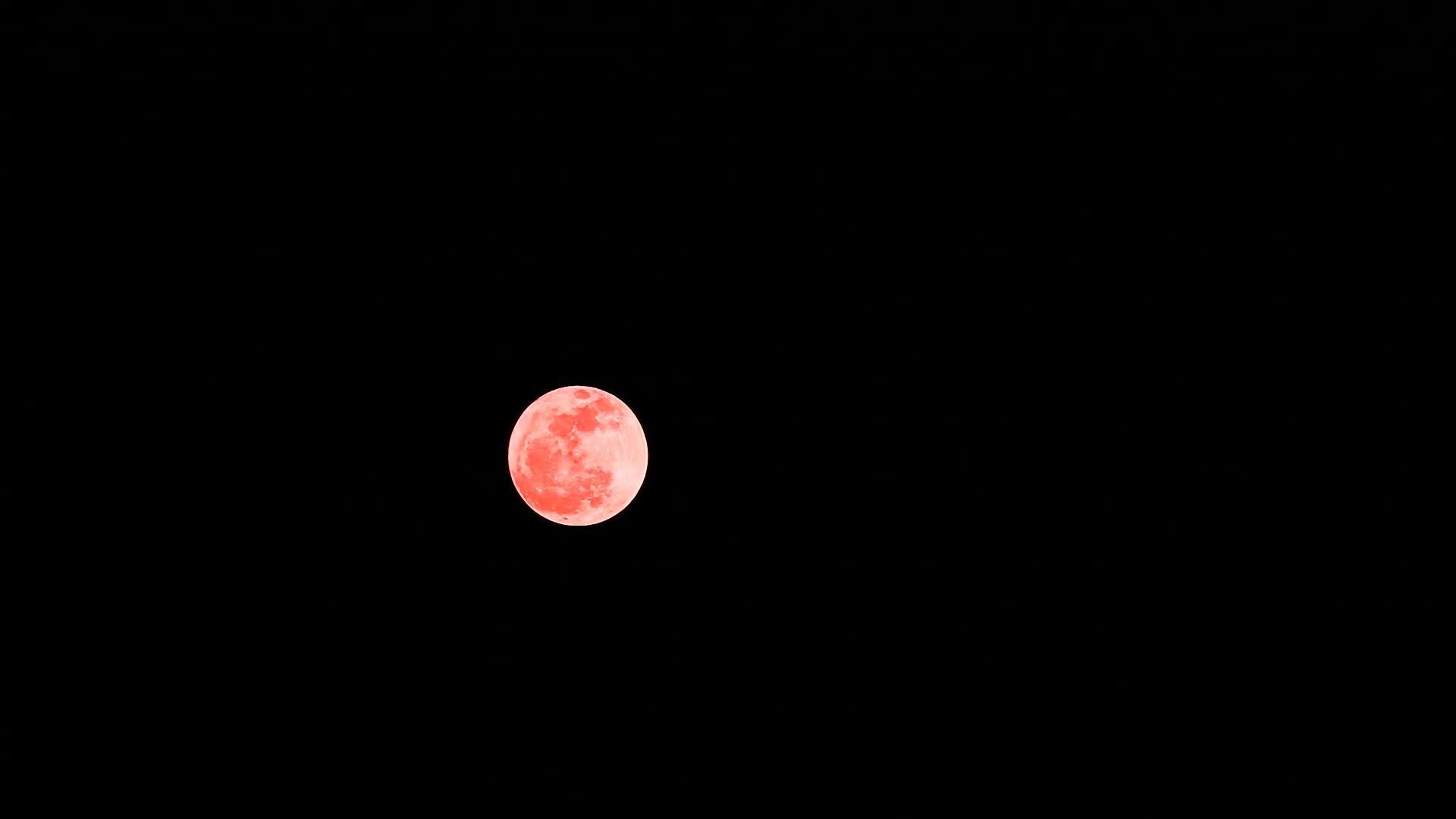 橙橡木月亮在夜空中视频的预览图