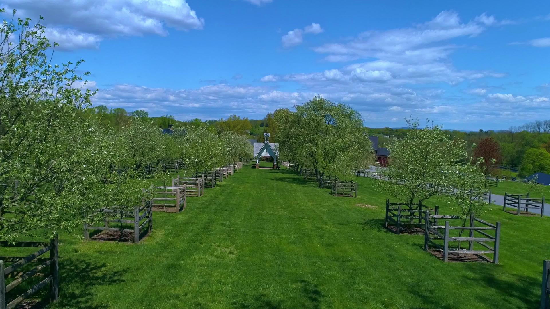 阳光明媚的风天果园的空气驱动力视频的预览图