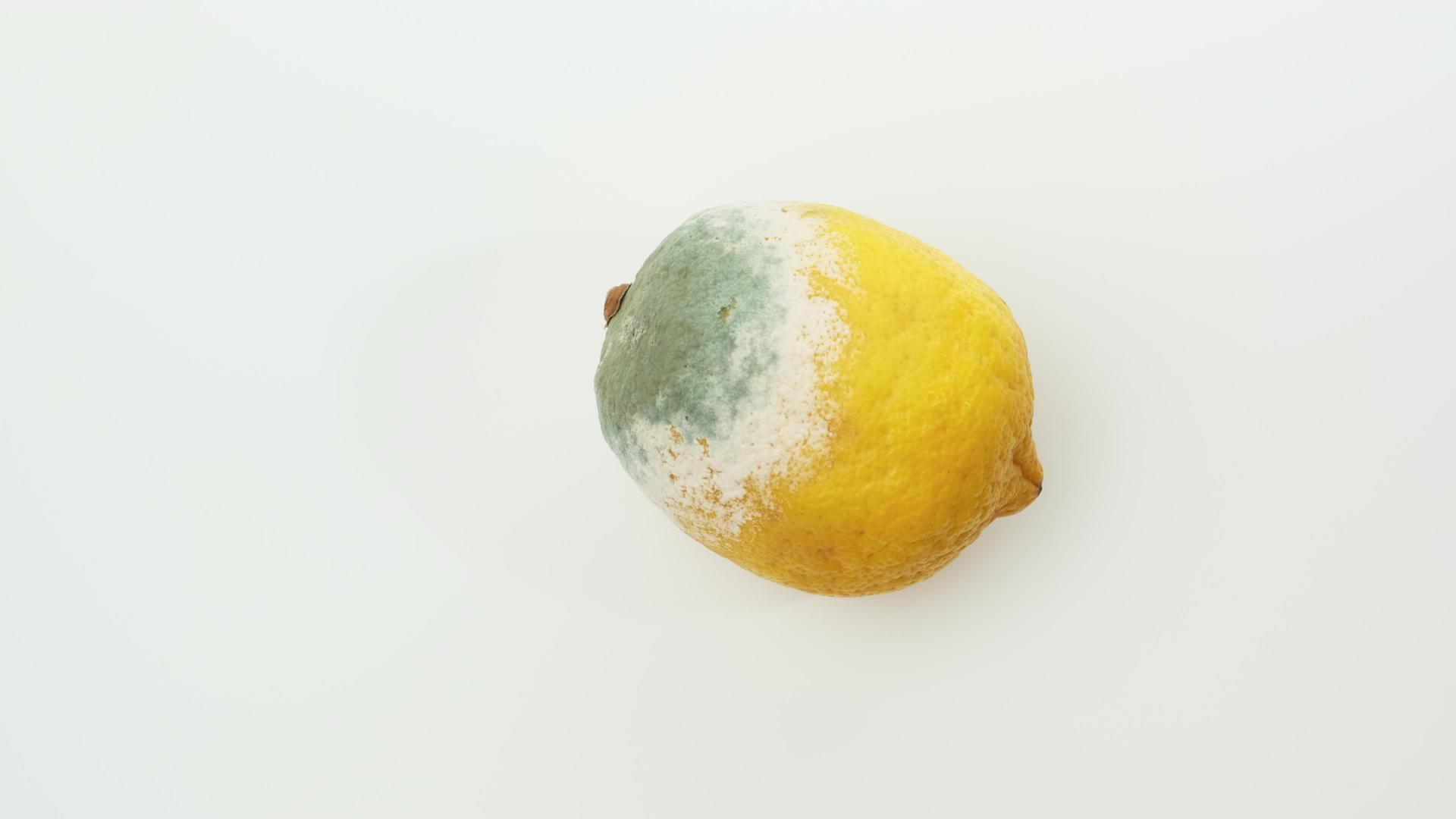 黄色柠檬在白色背景的顶部视图上旋转模具视频的预览图