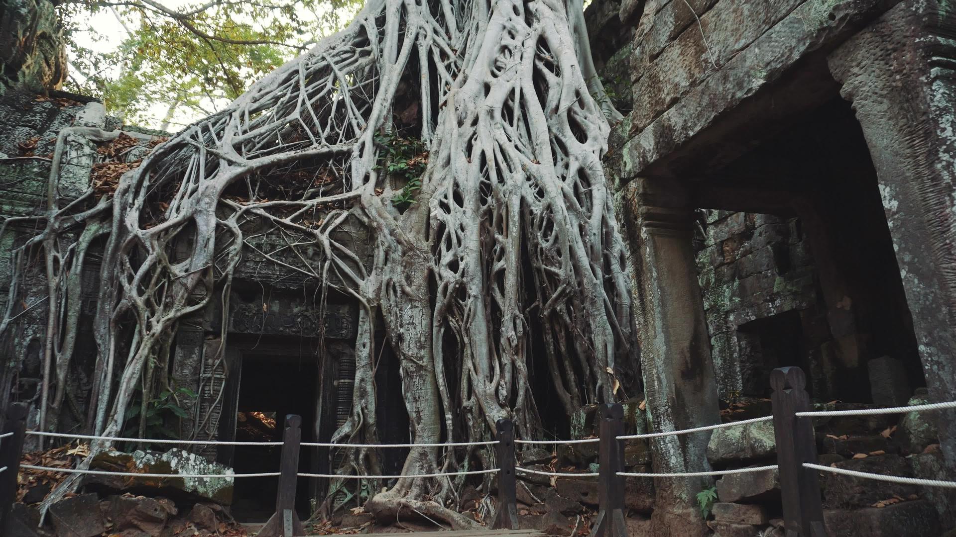 Cambodiaangkorwattaprohm寺庙视频的预览图