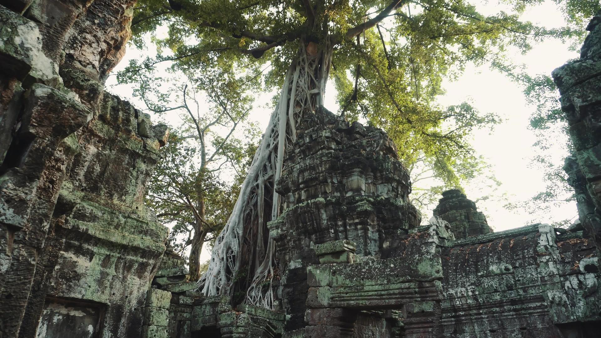 古老的Angkorwat日出全景被毁灭视频的预览图