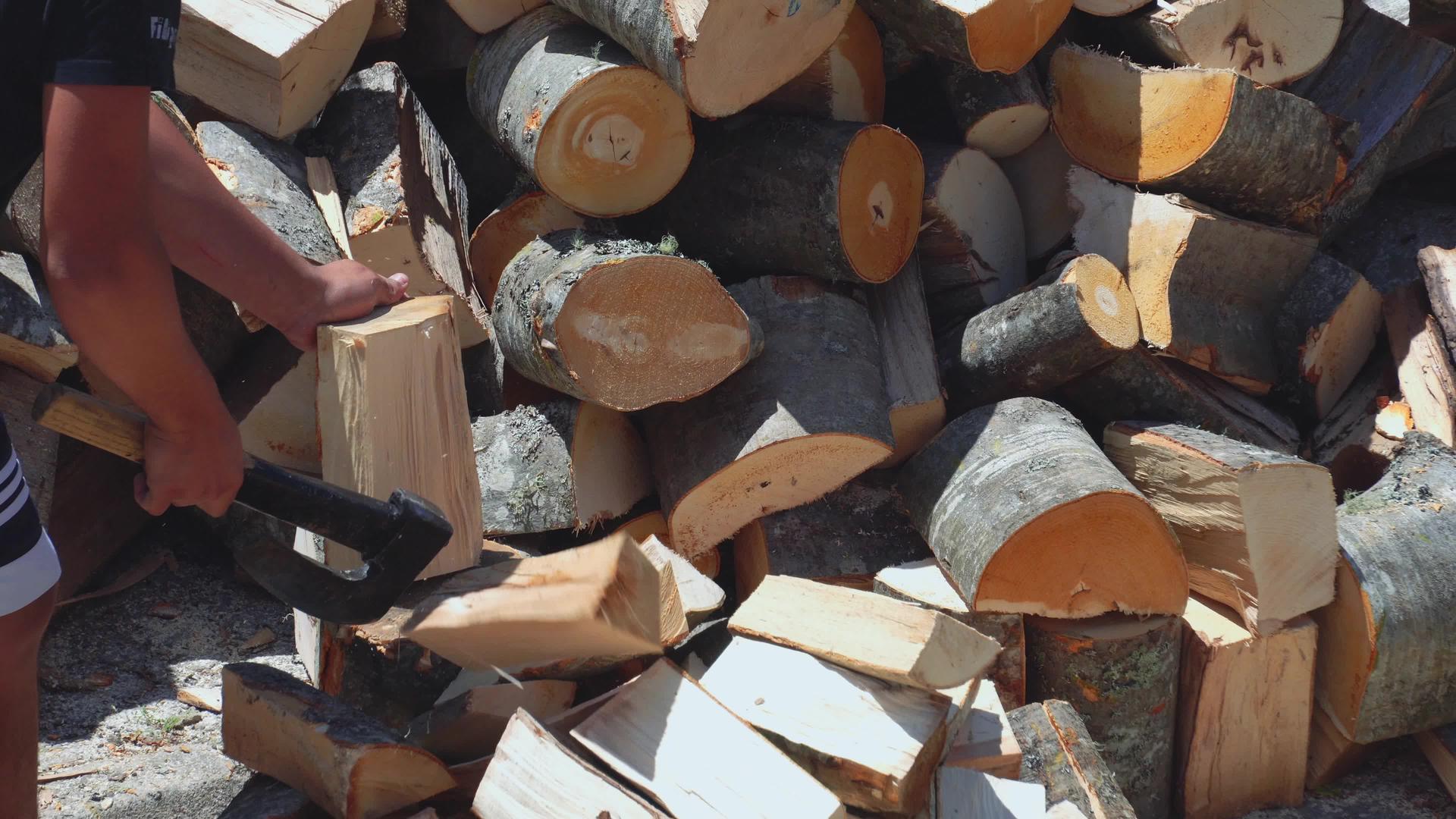 男性伐木工人用斧头砍树视频的预览图
