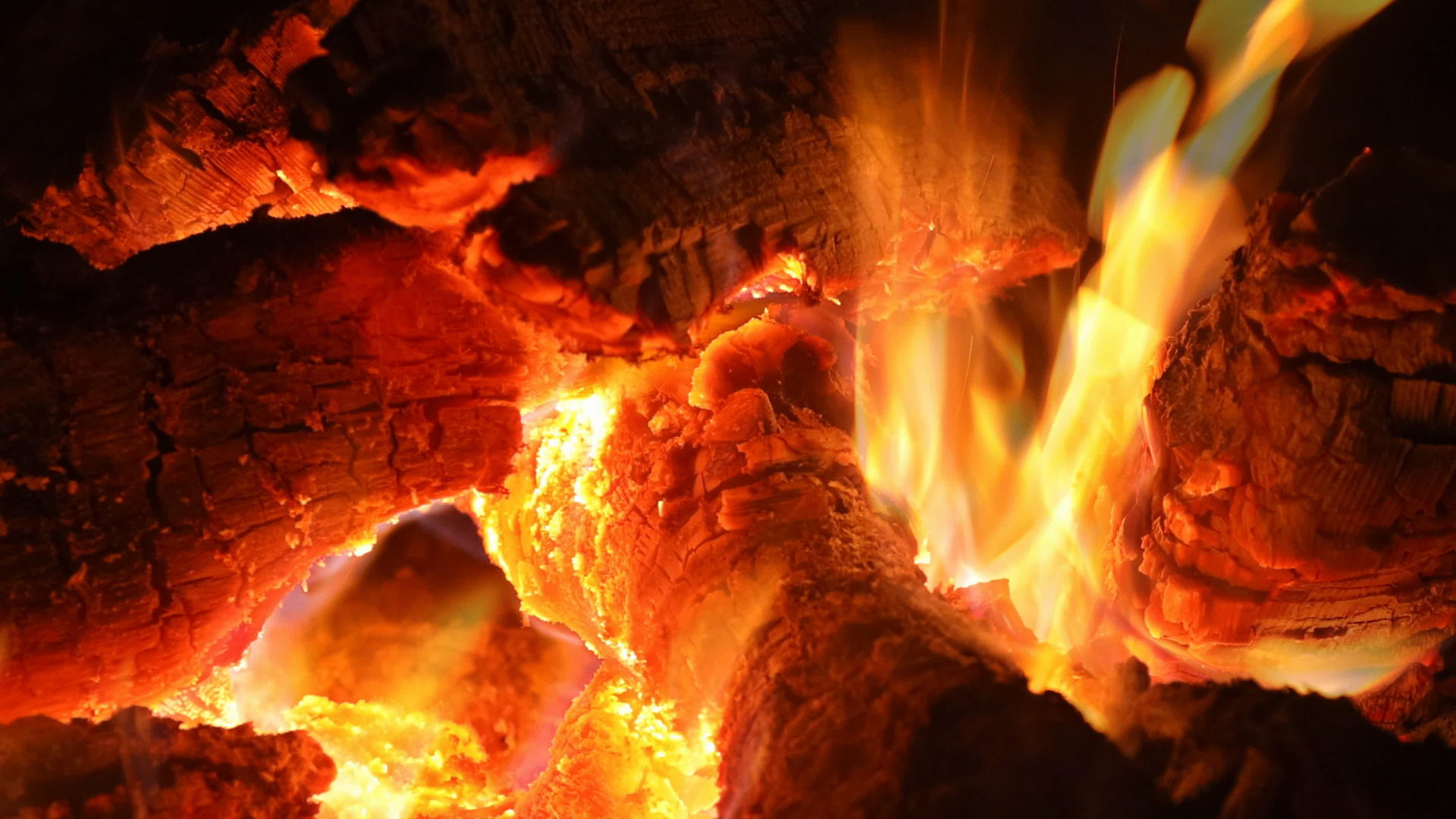 在火狱里烧火柴的誓言视频的预览图