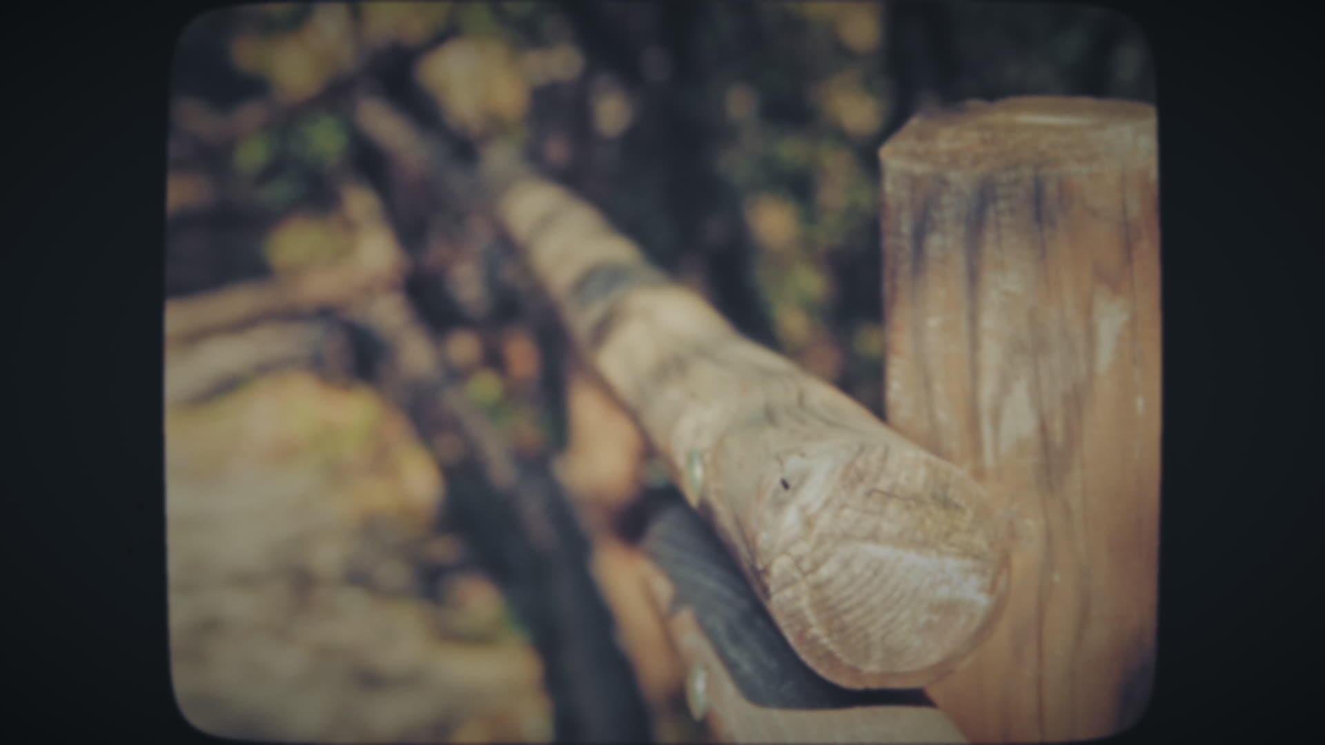 森林中间的木栅栏视频的预览图
