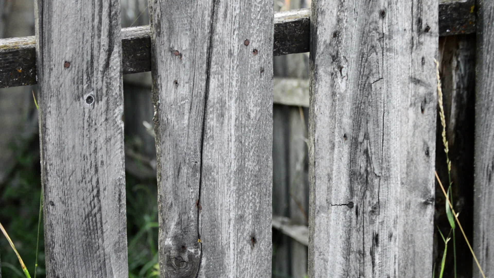 旧木栅栏上面覆盖着地衣和钉子视频的预览图