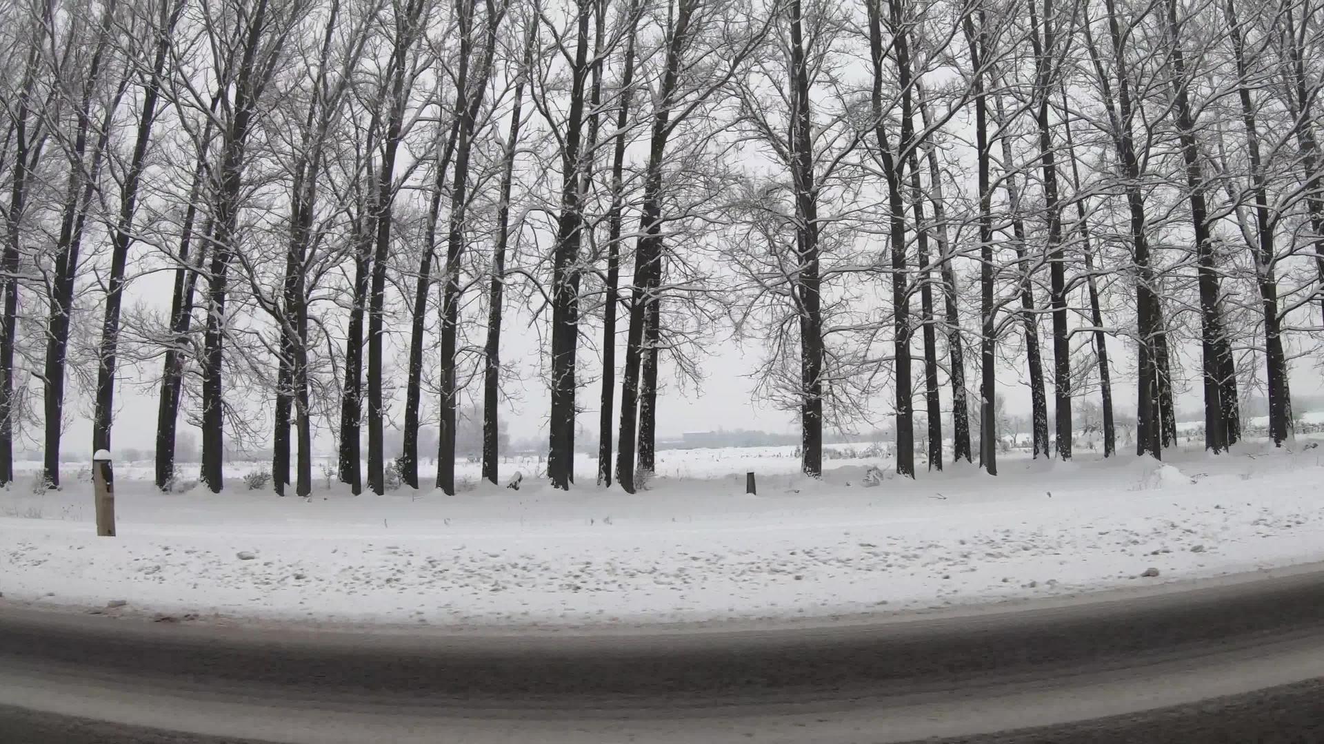 冬季由灰色冷冻树和冬季城市道路驾驶视频的预览图