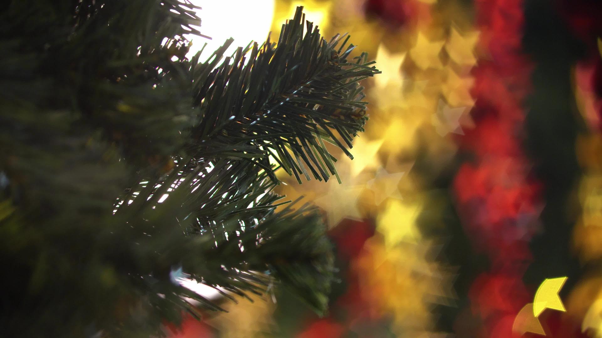 选择圣诞叶的焦点 带有恒星模糊背景视频的预览图