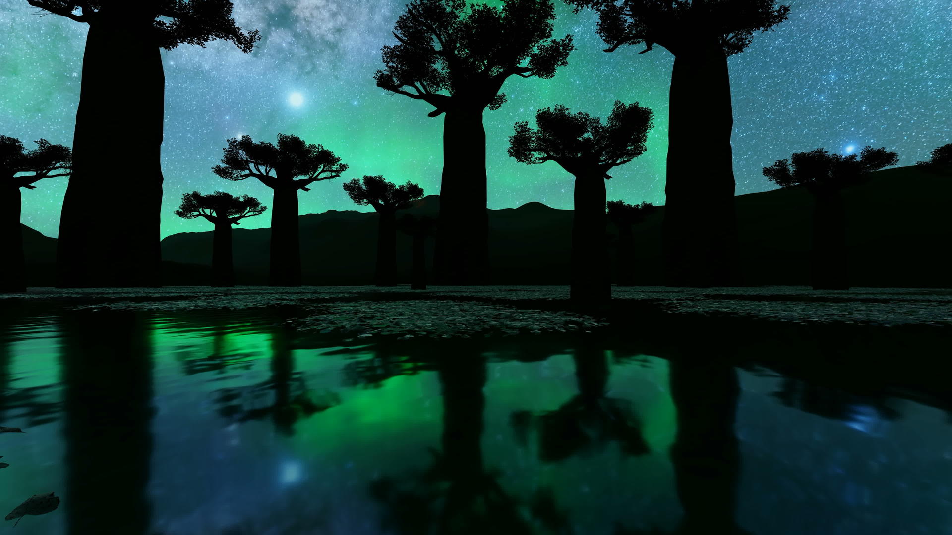 接近惊人的天空Bahobab树视频的预览图