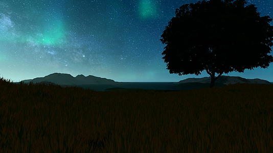北光照耀着草原上的一棵树视频的预览图
