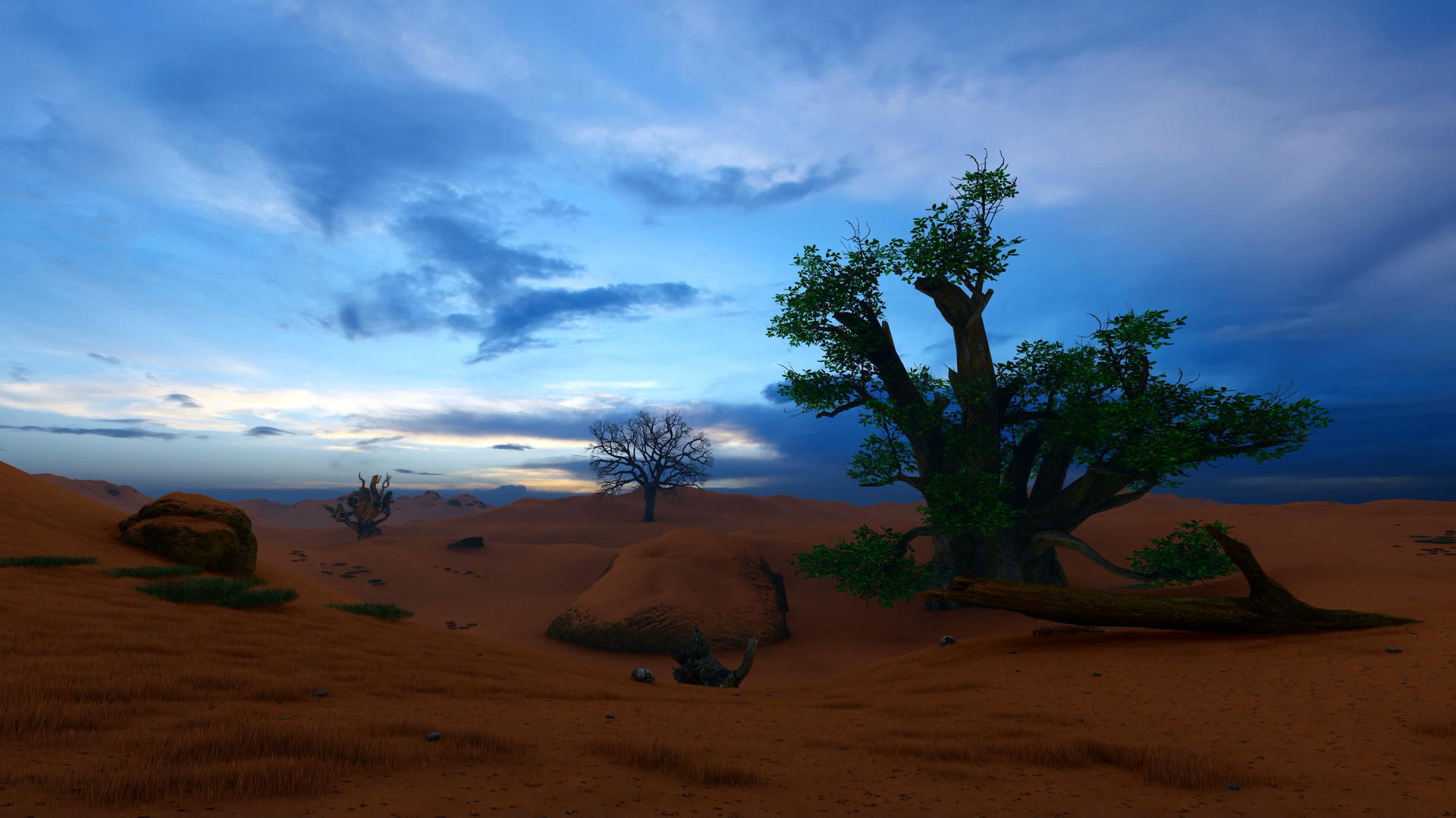 在黎明时的Bahobab美丽的树天视频的预览图