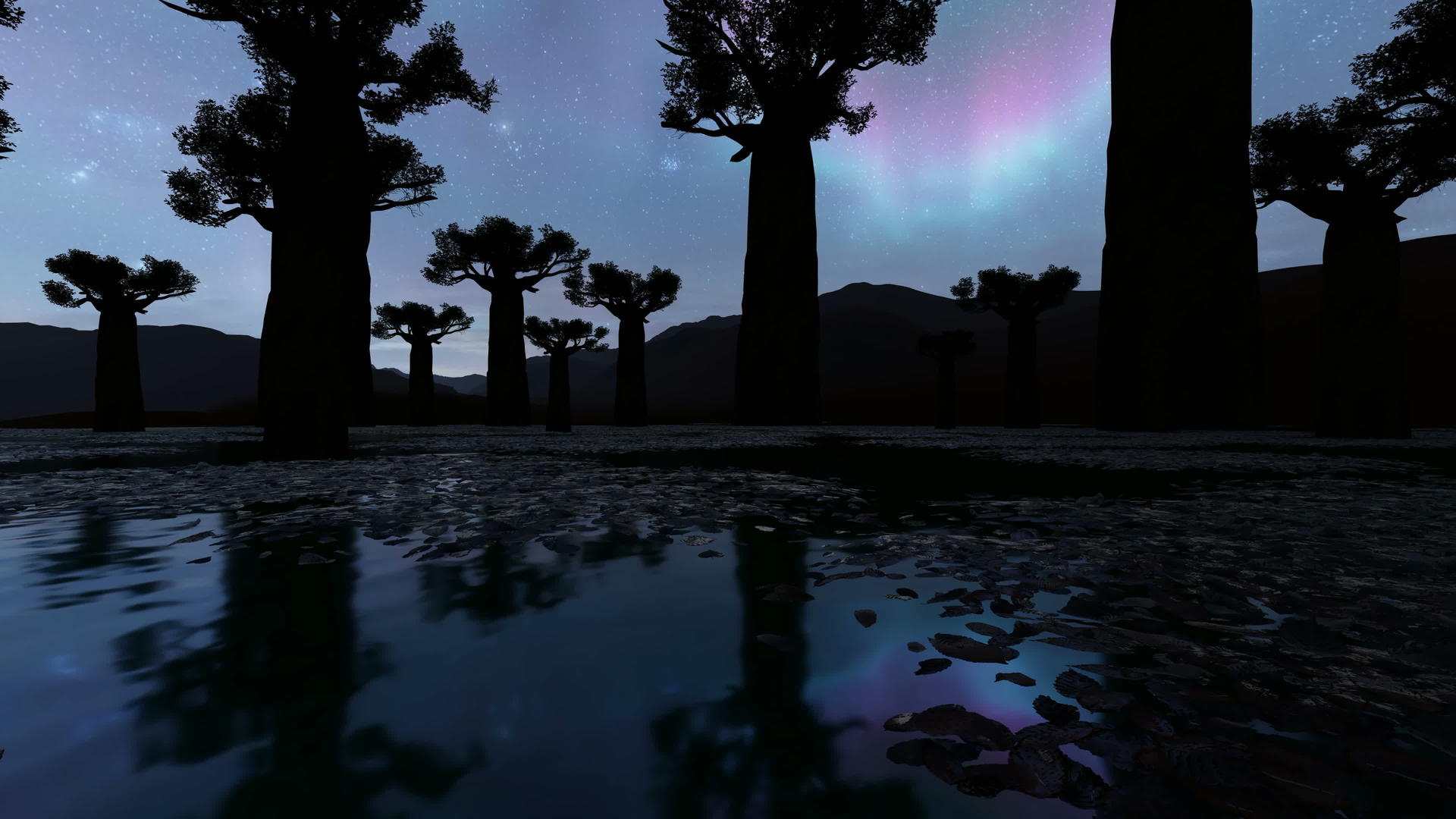 夜间baboba树视频的预览图