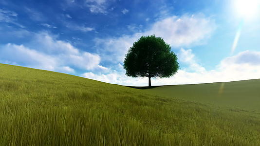 在晴朗的日子里在绿色的草原上的一棵树上视频的预览图