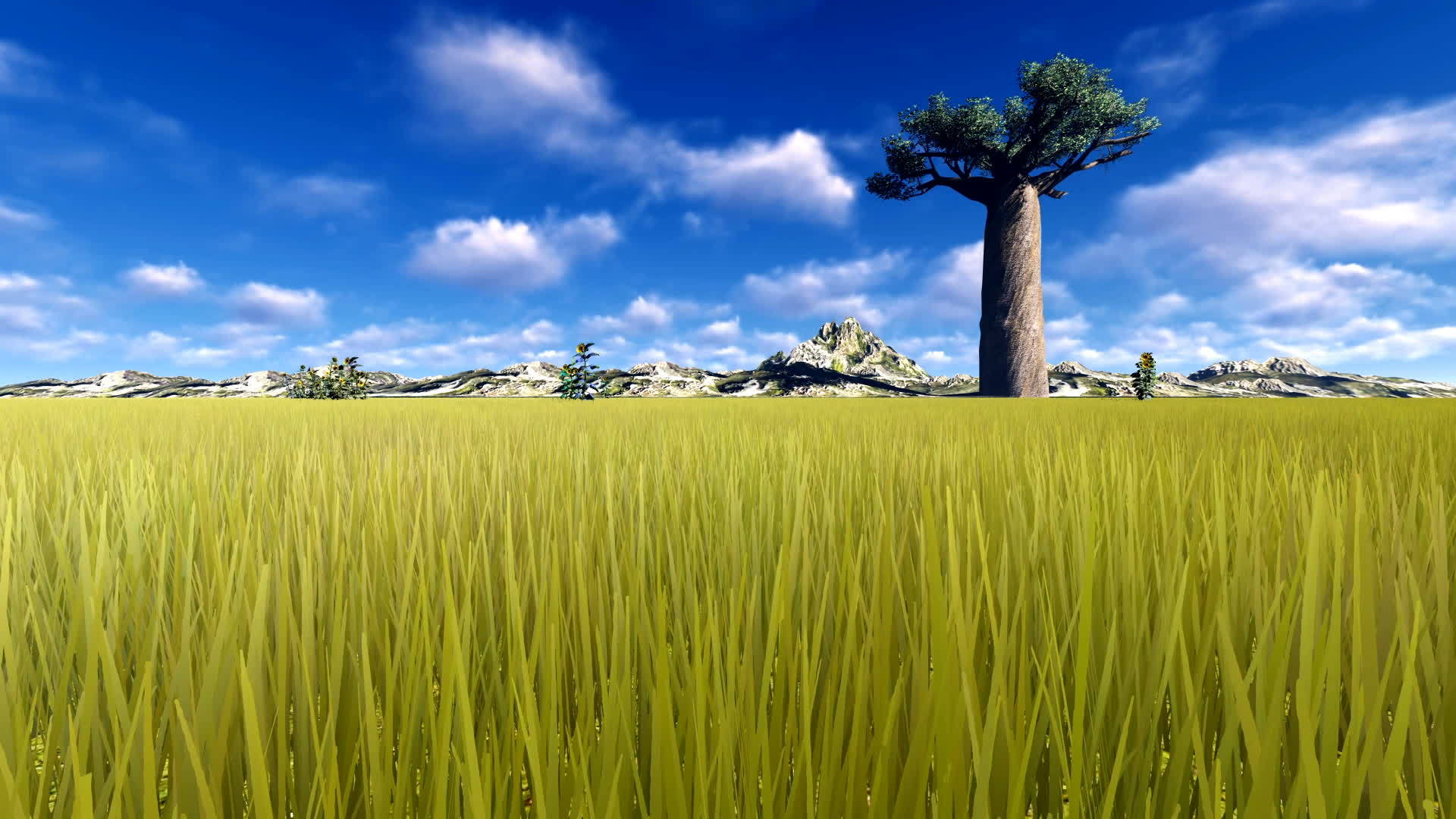 山边的孤树视频的预览图