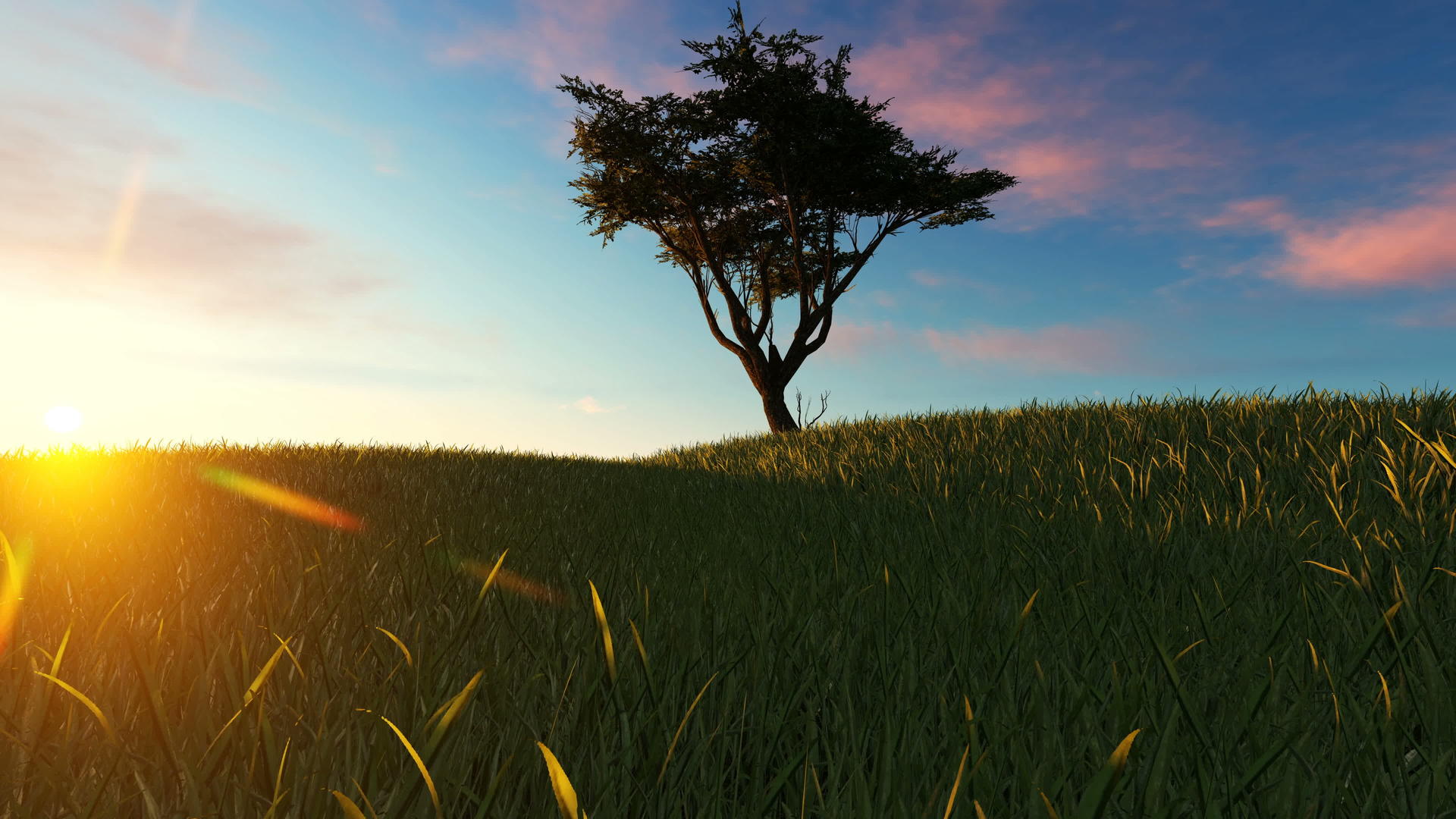 日落时在草原上视频的预览图